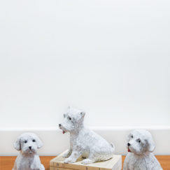 Chiot assis 2 - sitting puppy 2 ceramic - Bennie - céramique contemporaine - ensemble